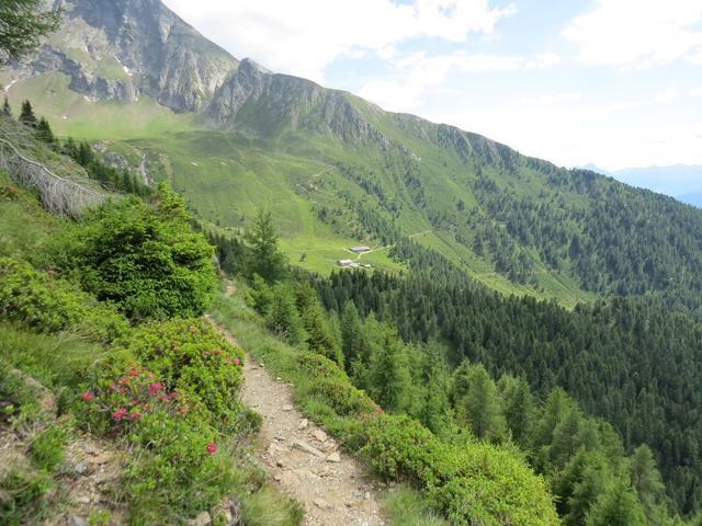 vor uns taucht die Mahdalm und die Hintereggalm auf