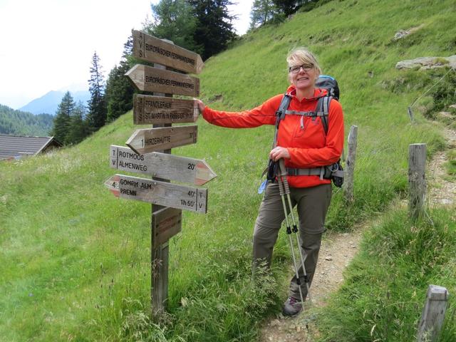 meine Maus bei der Weggabelung auf der Mahdalm