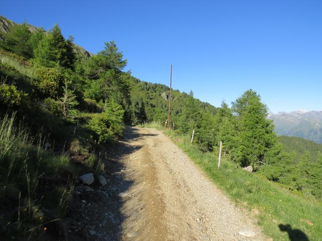 über einen breiten und und einfachen Wanderweg laufen, wir Richtung Hirzerhütte