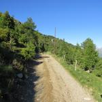 über einen breiten und und einfachen Wanderweg laufen, wir Richtung Hirzerhütte