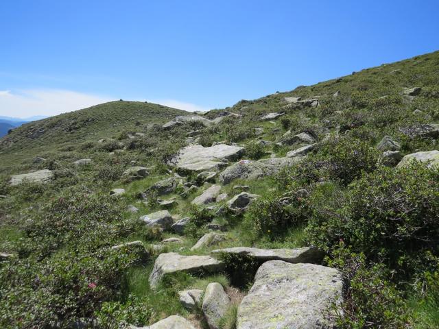 ... und wandern auf einem gut ersichtlichen Wanderweg an den Seen 2108 m.ü.M. vorbei