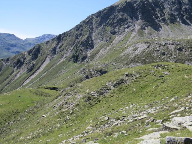 vor uns gut ersichtlich steigt der Weg wieder bergauf