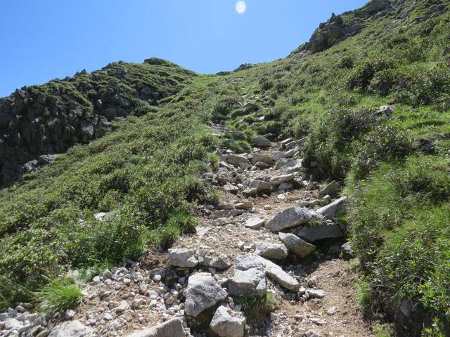 kurz vor dem kleinen Aussichtspunkt steigt der Weg nun merklich an