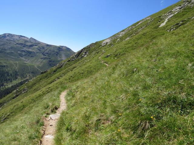 über einen schönen Höhenweg geht es weiter Richtung Kratzbergersee