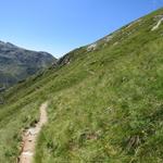 über einen schönen Höhenweg geht es weiter Richtung Kratzbergersee