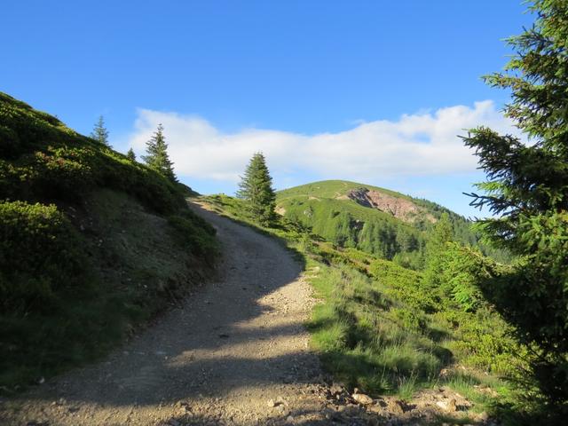 der breite gut erstellte Wanderweg führt uns zum Aussichtspunkt Spieler