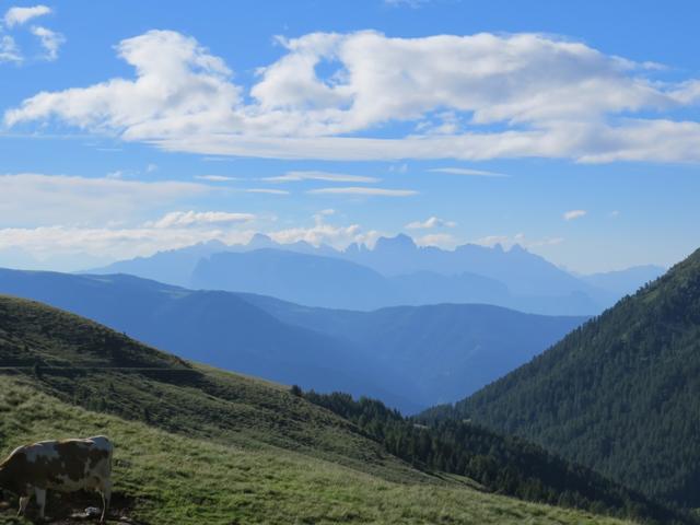 dieses Panorama mit der Rosengartengruppe wird uns den ganzen Tag begleiten