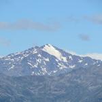 Blick zum Ortler