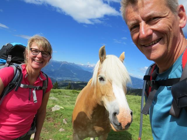 Erinnerungsfoto mit Haflinger