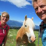 Erinnerungsfoto mit Haflinger