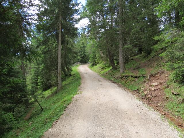 auf einer Schotterstrasse verlassen wir nach der Pause die Jausestation...