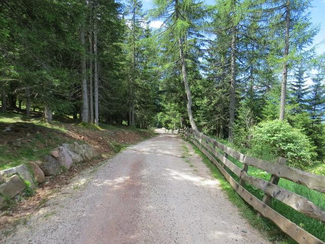 und machen uns auf dem Weg nach Langfenn