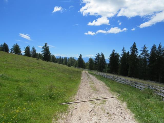 wir wandern unterhalb des Moltner Joch..