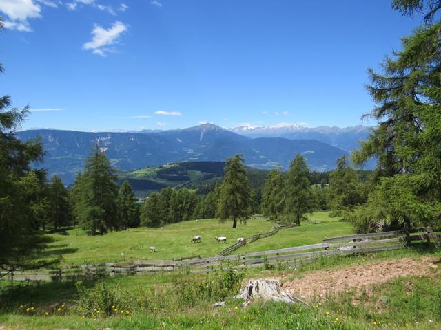 Blick ins Tal in der Nähe vom Fahrerweiher