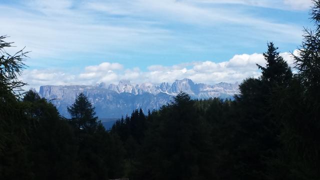 durch die Baumwipfel blitzt der Rosengarten