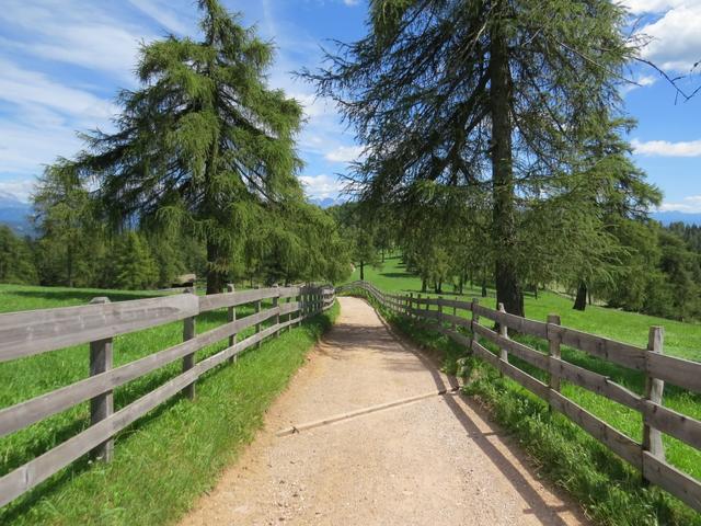 auf einem breiten sehr schönen Kiesweg...