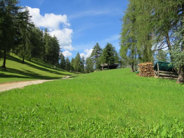 saftig grüne Wiesen laden zum gemütlichen Picknick ein