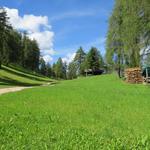 saftig grüne Wiesen laden zum gemütlichen Picknick ein