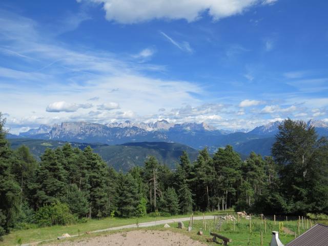 immer wieder schweift der Blick zum Rosengarten UNESCO Weltnaturerbe