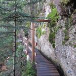 auf dieser Wanderung stehen für einmal nicht die grossen Panoramen im Mittelpunkt