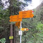 bei Pra du Taillor 1375 m.ü.M. eine Weggabelung. Man beachte die gelbe Tafel am Baum!