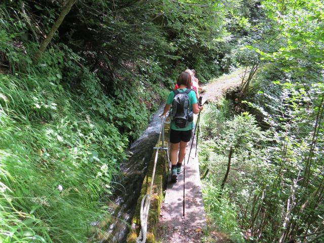 der Weg führt nun alles dieser Suone entlang talauswärts