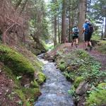 abwechslungsweise geht es nun durch den Wald...