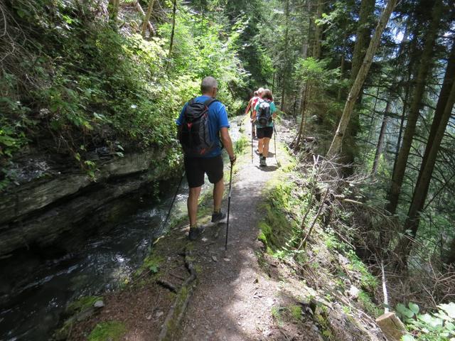 der Wanderweg führt durch Wald...