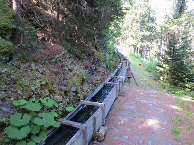 über Punkt 1785 m.ü.M. erreichen wir die Bisse de Saxon