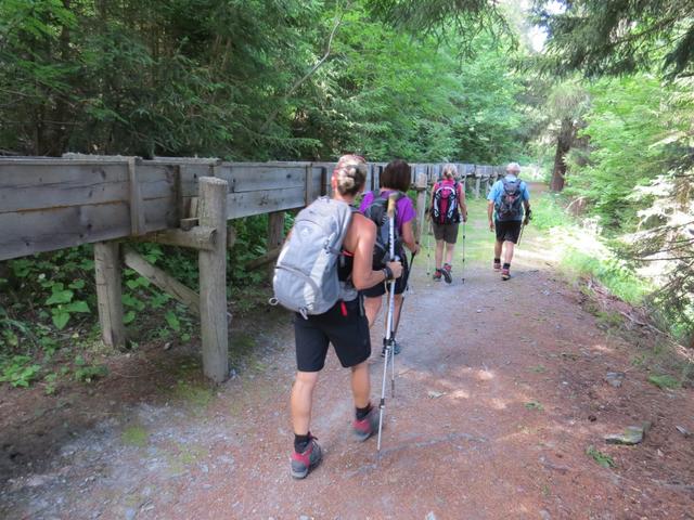 wir folgen nun der alten Suone, die mit reduzierter Wassermenge als Kulturdenkmal...