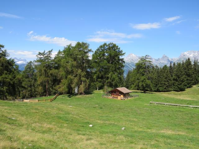 bei Punkt 1769 m.ü.M. überqueren wir die hübsche Lichtung Pra da Dzeu. Bänke und Tische laden bei schöner Aussicht, zur Ras