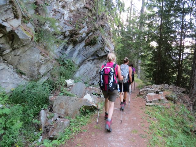 das Gelände wird nun ein bisschen rauher und wilder. Der Wald wird immer dichter