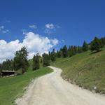 auf einer breiten Alpstrasse verlassen wir  Prarion. Unser nächstes Zwischenziel ist nun die Cabane de Balavaux