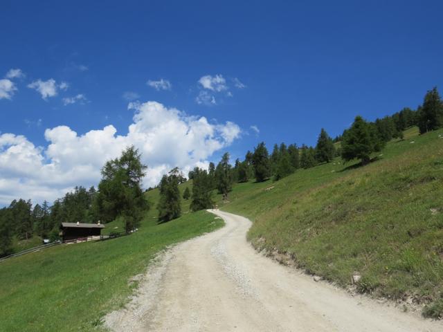 auf einer breiten Alpstrasse verlassen wir  Prarion. Unser nächstes Zwischenziel ist nun die Cabane de Balavaux