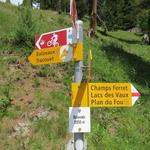 Wegweiser bei Balavaux 2050 m.ü.M. wegen dem Wetter müssen wir die Besteigung des Dent de Nendaz absagen