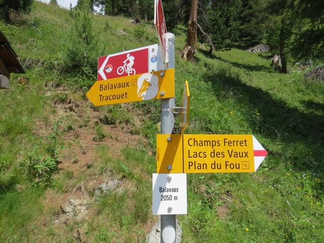 Wegweiser bei Balavaux 2050 m.ü.M. wegen dem Wetter müssen wir die Besteigung des Dent de Nendaz absagen