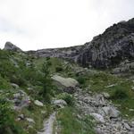 kurz vor einem Felsblock mit dem Namen Pierre Javelle 2096 m.ü.M. zweigt sich der Bergweg