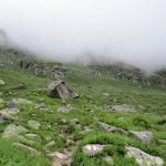 der Bergweg wird nun noch etwas steiler