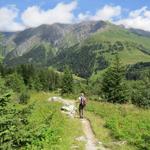 auf einfachem Wanderweg erreichen wir danach wieder La Fouly