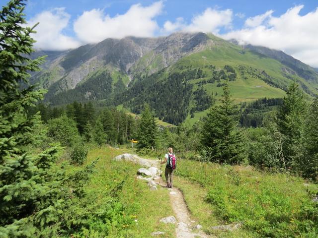 auf einfachem Wanderweg erreichen wir danach wieder La Fouly