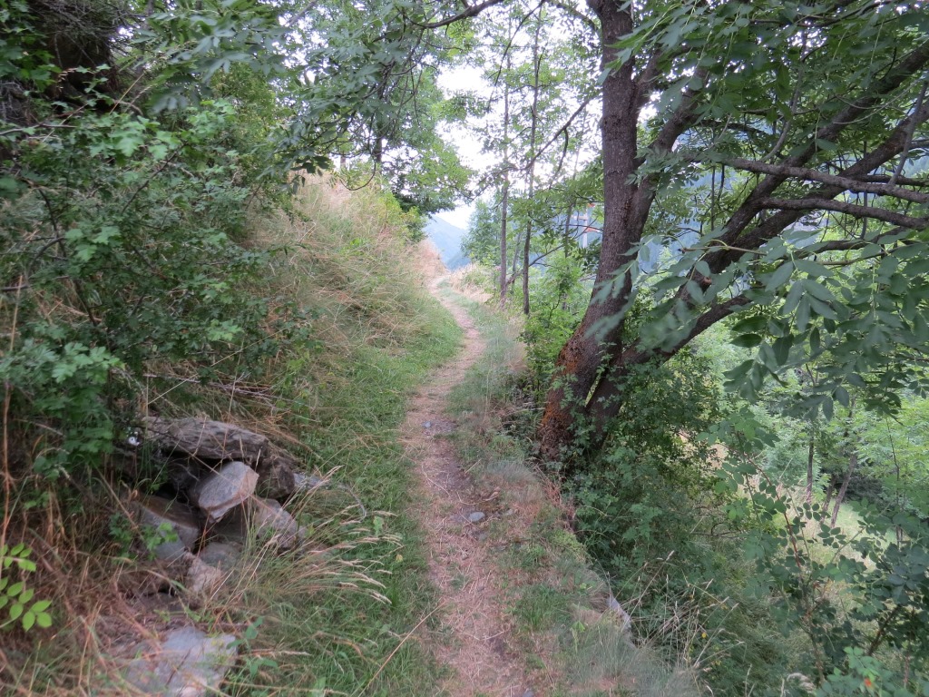 über einen grasbewachsenen Fussweg geht es weiter