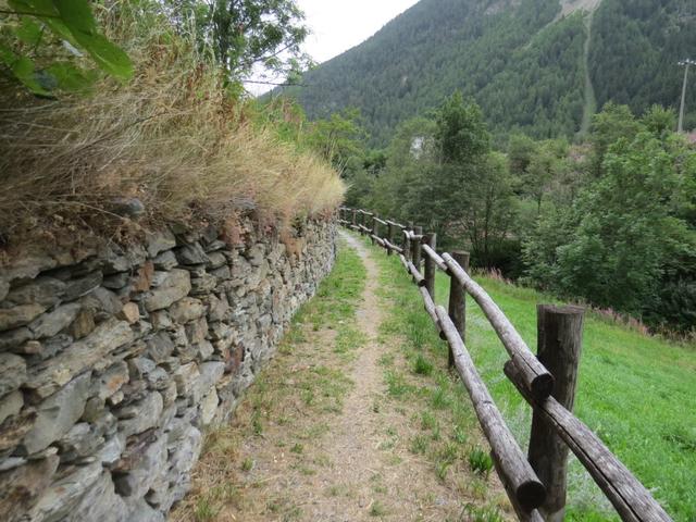 der Weg ist hier sehr gut angelegt. Weit weg vom Lärm der Passstrasse