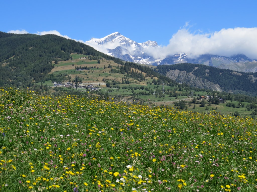 Blick in die Walliseralpen hinauf zum Mont Vélan