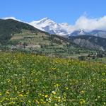 Blick in die Walliseralpen hinauf zum Mont Vélan