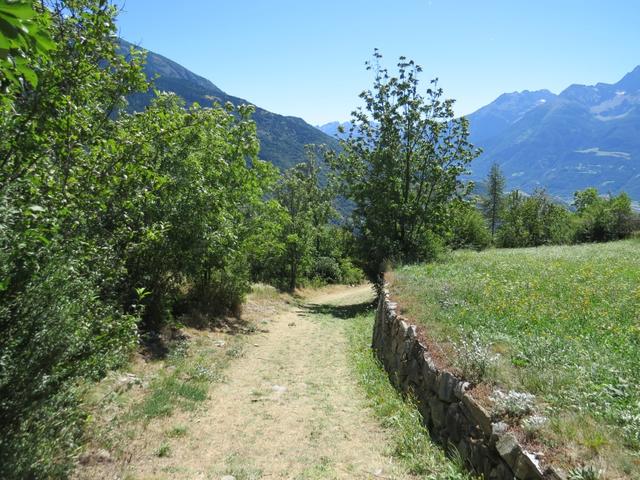 der Pilgerweg ist sehr gut erstellt und meistens abseits der lärmigen Passstrasse, die zum grossen Sankt Bernhard hinaufführt