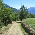 der Pilgerweg ist sehr gut erstellt und meistens abseits der lärmigen Passstrasse, die zum grossen Sankt Bernhard hinaufführt