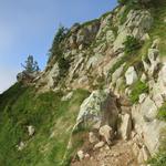 ...und auf dem Wanderweg, der auf der orografisch linken Seite der Combe d'Orny am Hang verläuft