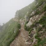 der Nebel bleibt hartnäckig und nimmt uns die Sicht. Wir hoffen das er sich verzieht