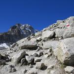 ...und gelangen auf dem Grat einer Seitenmoräne Punkt 2700 m.ü.M. des Glacier d'Orny.