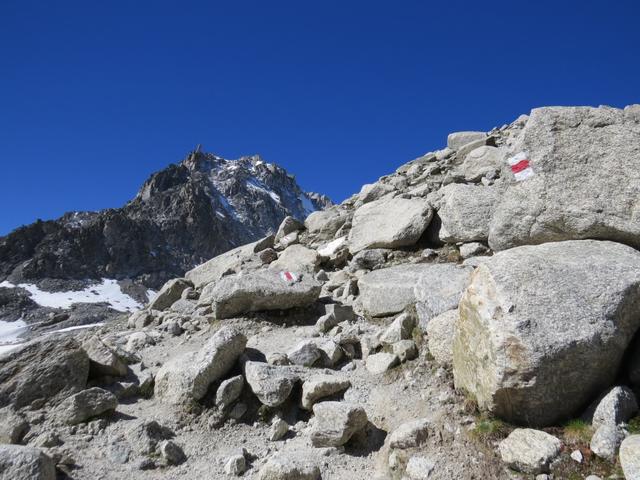 ...und gelangen auf dem Grat einer Seitenmoräne Punkt 2700 m.ü.M. des Glacier d'Orny.